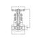 Gate valve Type: 1750 Steel Internal thread (NPT) Class 800